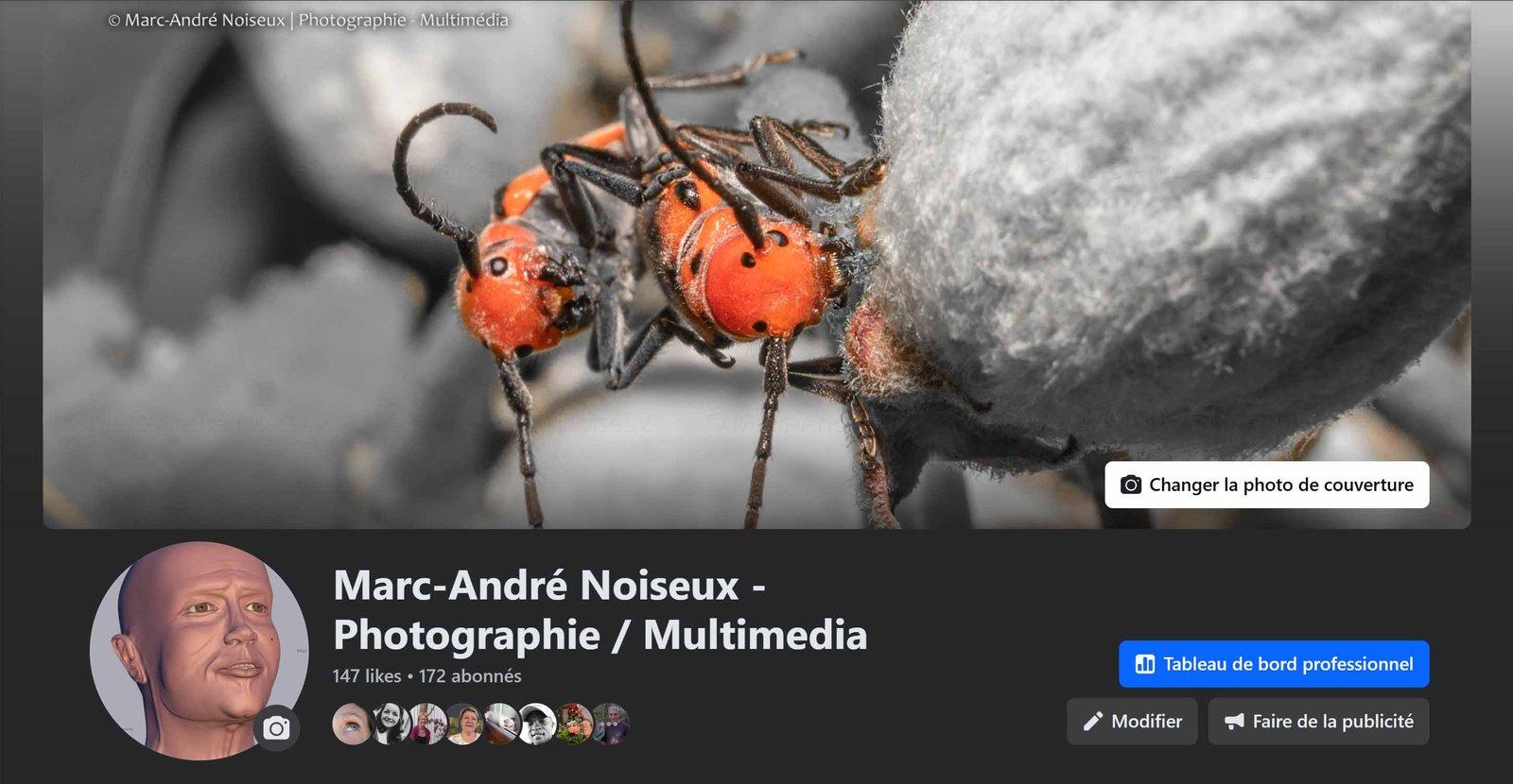 Marc-André Noiseux photographie multimédia